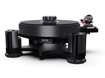 Avid acutus 3