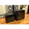 GoldenEar SuperSub 54