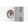 img clp ls60w stn12 flts dt