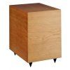 aq wega 54 mkiii tresen subwoofer