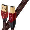 audioquest cinnamon usb a na b