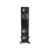 paradigm premier 820f cerny orech image1 big ies100982350